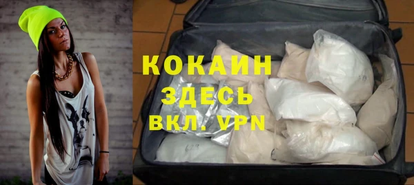 амф Богданович