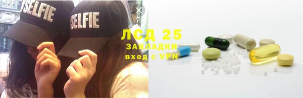 амф Богданович