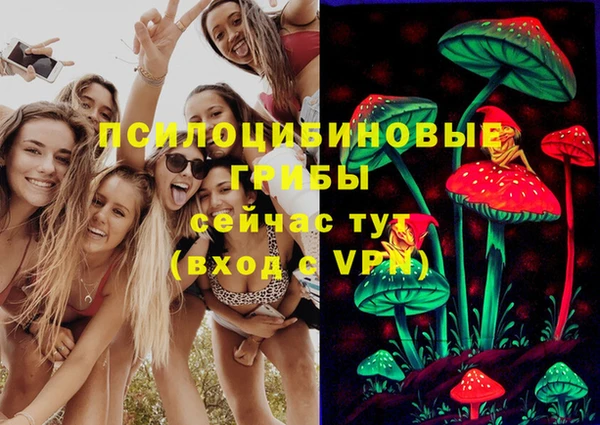 амф Богданович