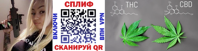 Каннабис VHQ  ссылка на мегу ссылка  Ува 